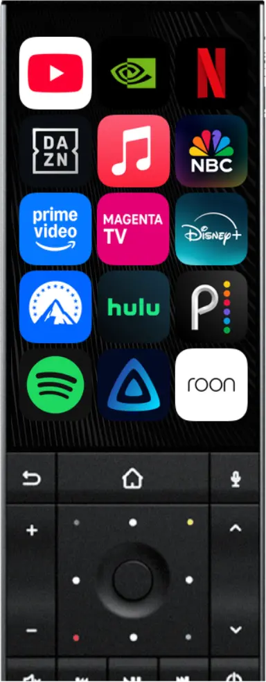 Remote body (back)